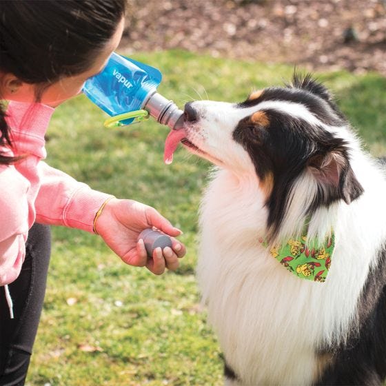 Vapur Gourde Ez Lick Portable Dog - Whiteout