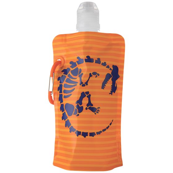 Vapur Gourde Kids 400 ml - Dinosaurs