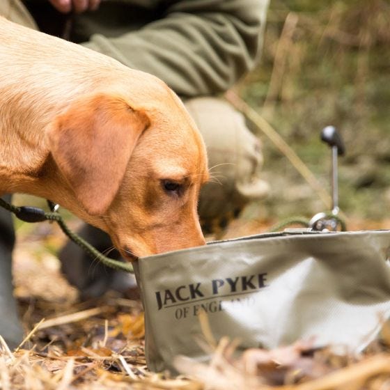 Jack Pyke Gamelle pliable pour chien verte