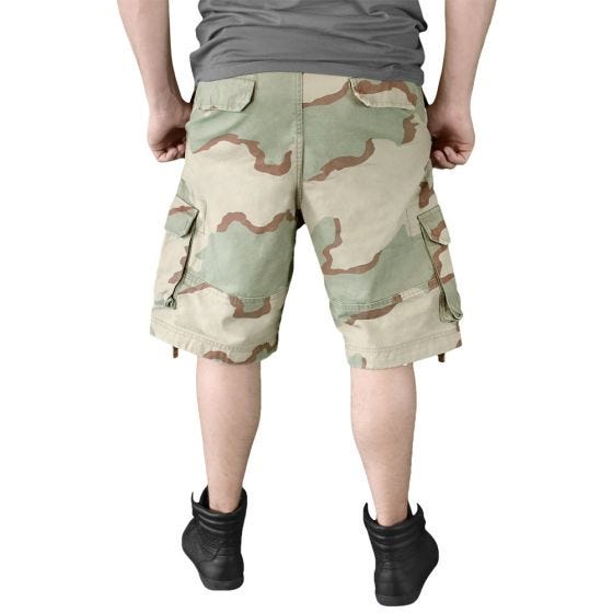 Surplus Short délavé Vintage Desert tricolore